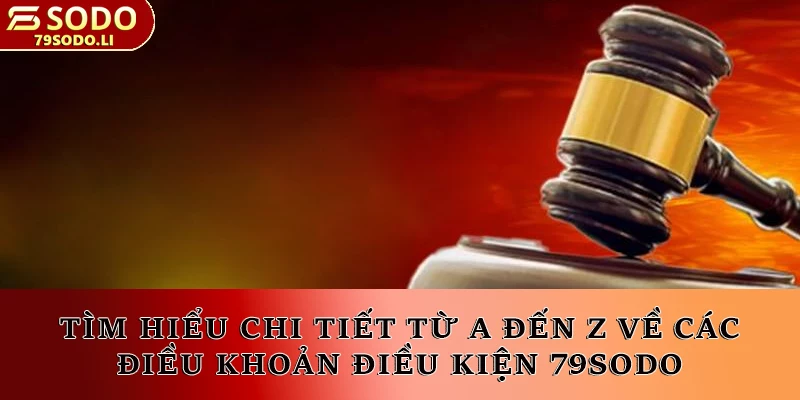 Tìm hiểu chi tiết từ A đến Z về các điều khoản điều kiện 79SODO