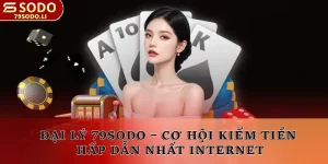 Đại lý 79SODO